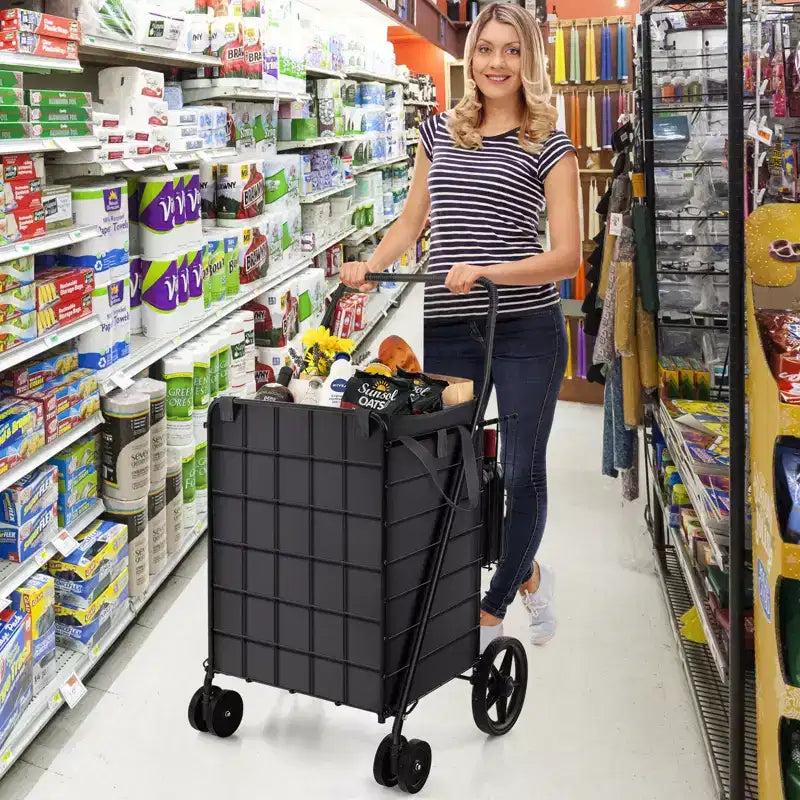 Carrello per la spesa pieghevole con due cestini
