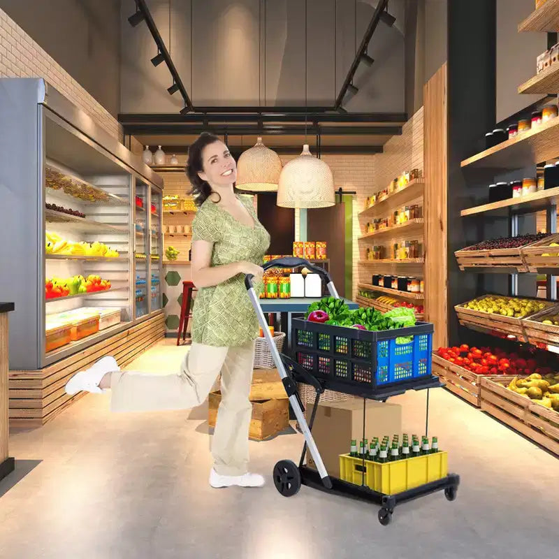 Carrelli pieghevoli per la spesa a 2 livelli, portata di 198 libbre, carrello portaspesa pieghevole e portatile con ruote e cassa rimovibile per centro commerciale e mercato, blu