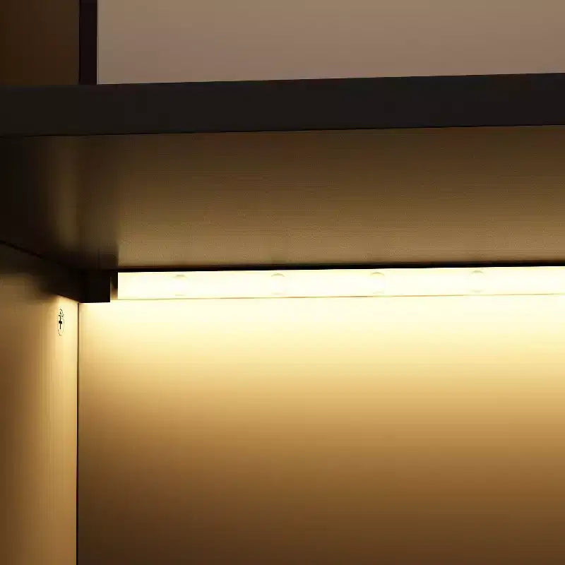 Vetrinetta Armadio Illuminata a LED con Ante in Vetro Nera