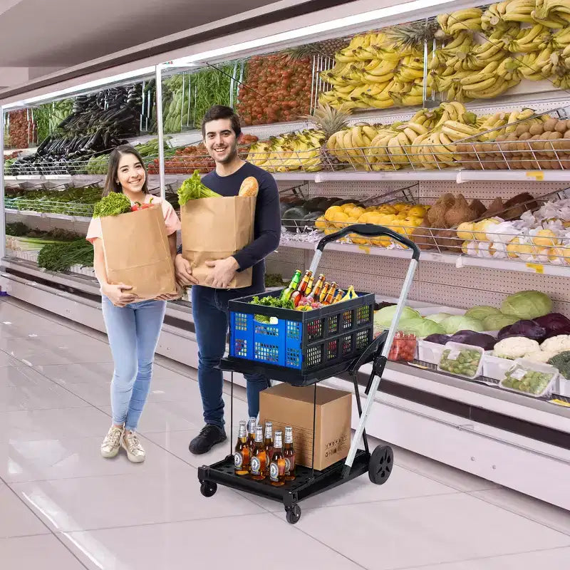 Carrelli pieghevoli per la spesa a 2 livelli, portata di 198 libbre, carrello portaspesa pieghevole e portatile con ruote e cassa rimovibile per centro commerciale e mercato, blu